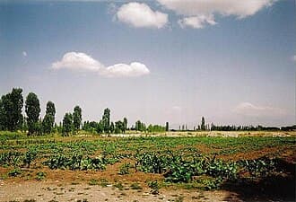 Iğdır Iğdır Ovası